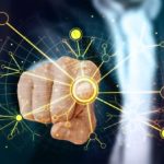 Objets connectés (IOT)